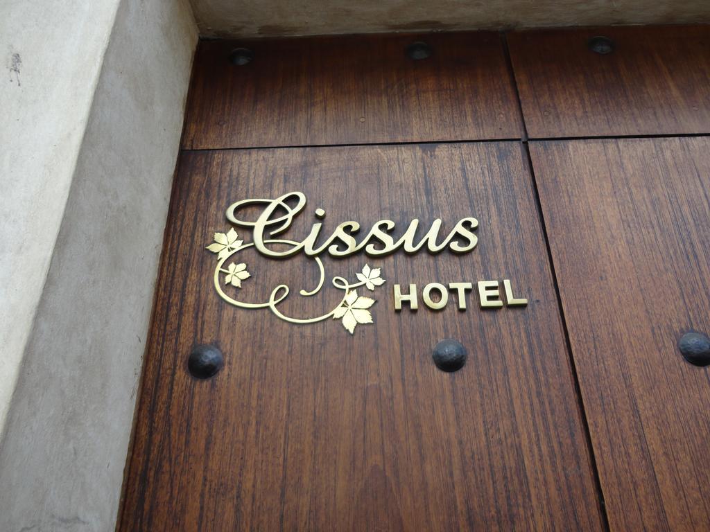 Cissus Hotel Boutique (Adults Only) Antigua Cameră foto