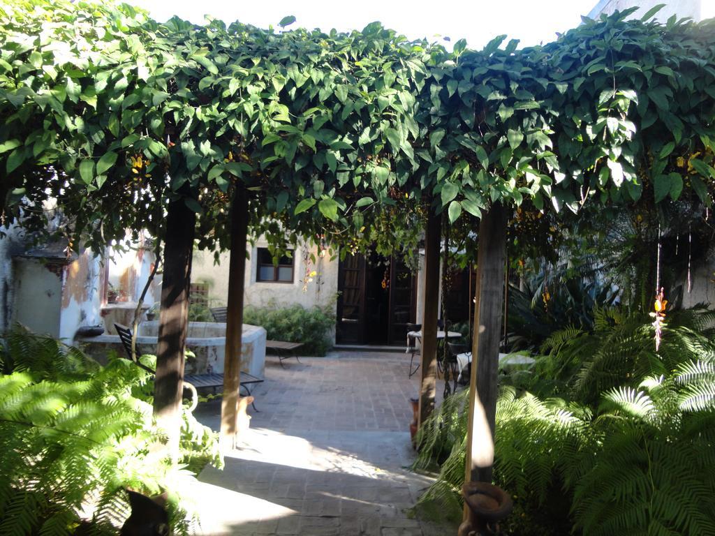 Cissus Hotel Boutique (Adults Only) Antigua Exterior foto